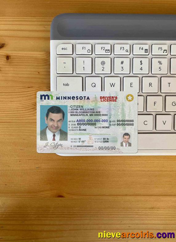 USA Minnesota driving license photolook